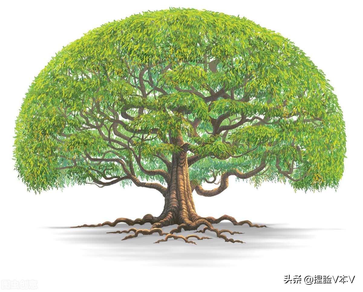 巴菲特一生最大的财富,巴菲特有什么财富