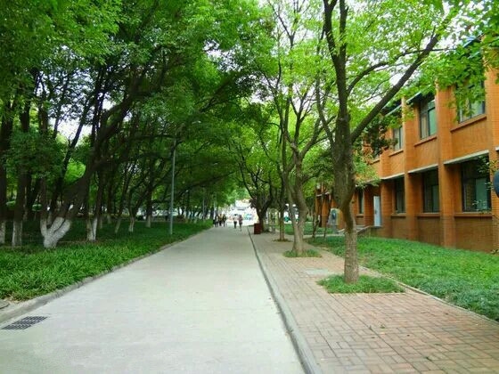 这所普通一本有663名毕业生入职世界500强，它还是许家印的母校