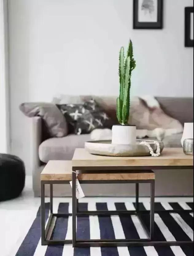 消除新房甲醛的是哪种盆景植物,吸附甲醛最好植物