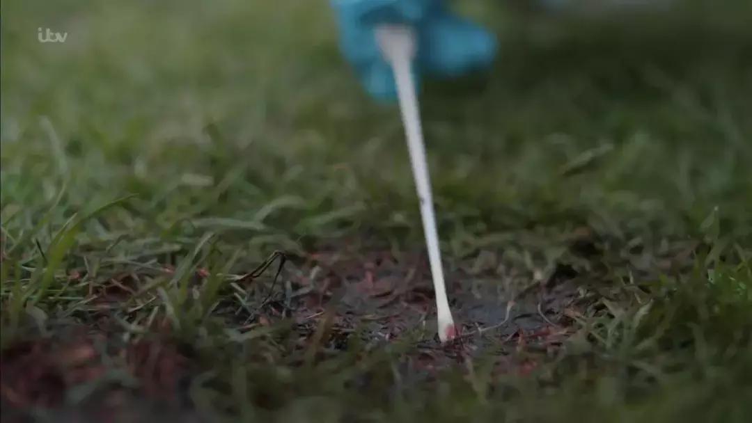 真实刑侦破案纪录片,中国警察破案纪录片有哪些