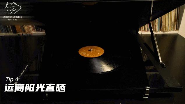 保养黑胶?这有一份专用指南