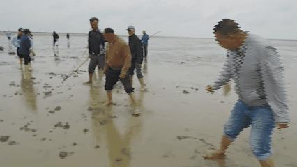 央视高清视频：东台品鲜