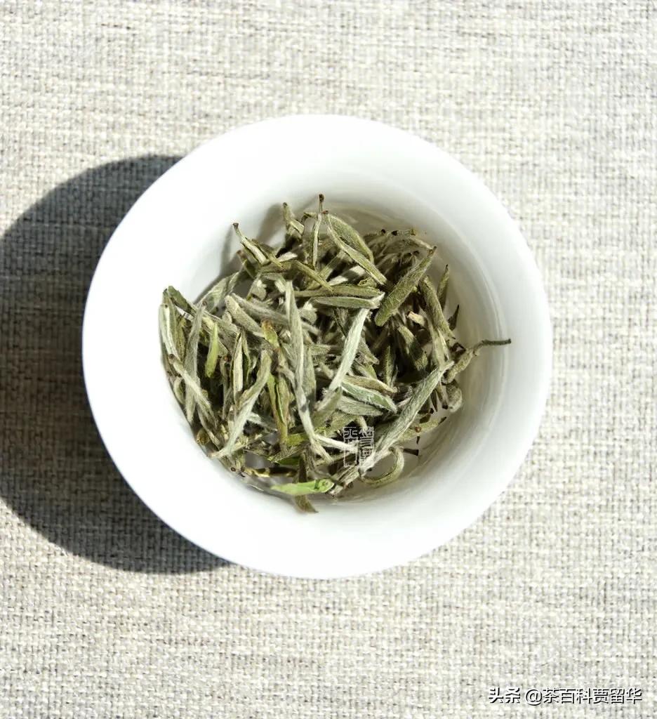大红袍正山小种金骏眉白茶铁观音,白茶铁观音金骏眉