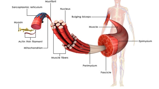 骨折愈合了但是疼可以走路吗,骨折不愈合走路为何不疼