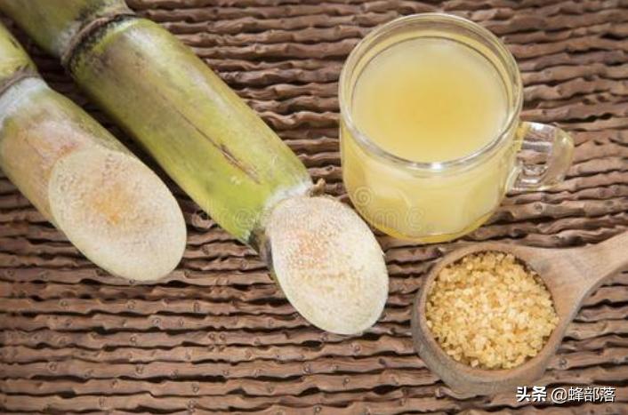 白糖算不算蜂蜜,白糖蜂蜜与蜂蜜如何区别