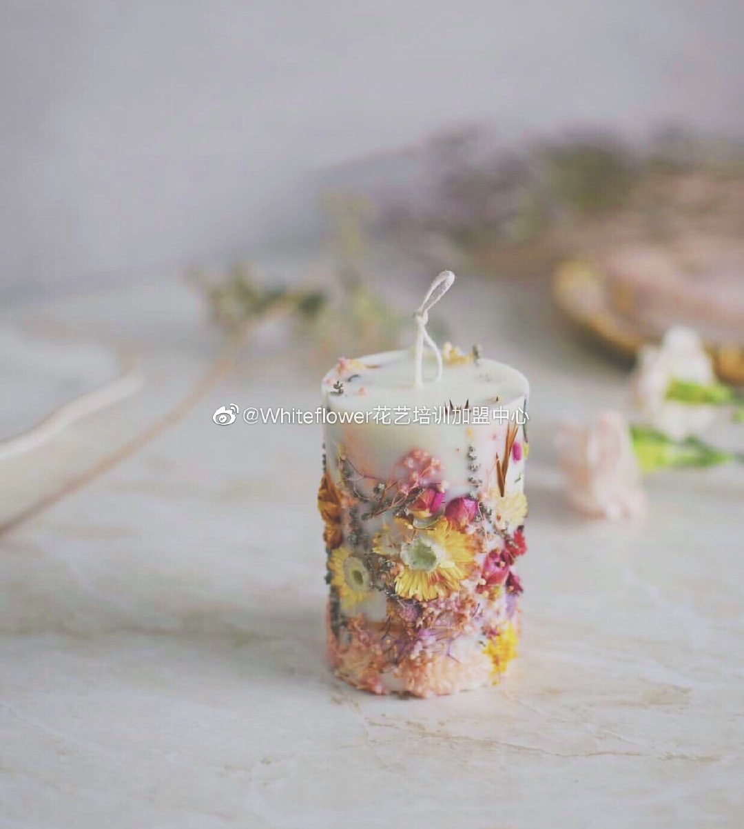 whiteflower闂ㄥ簵,whiteflower