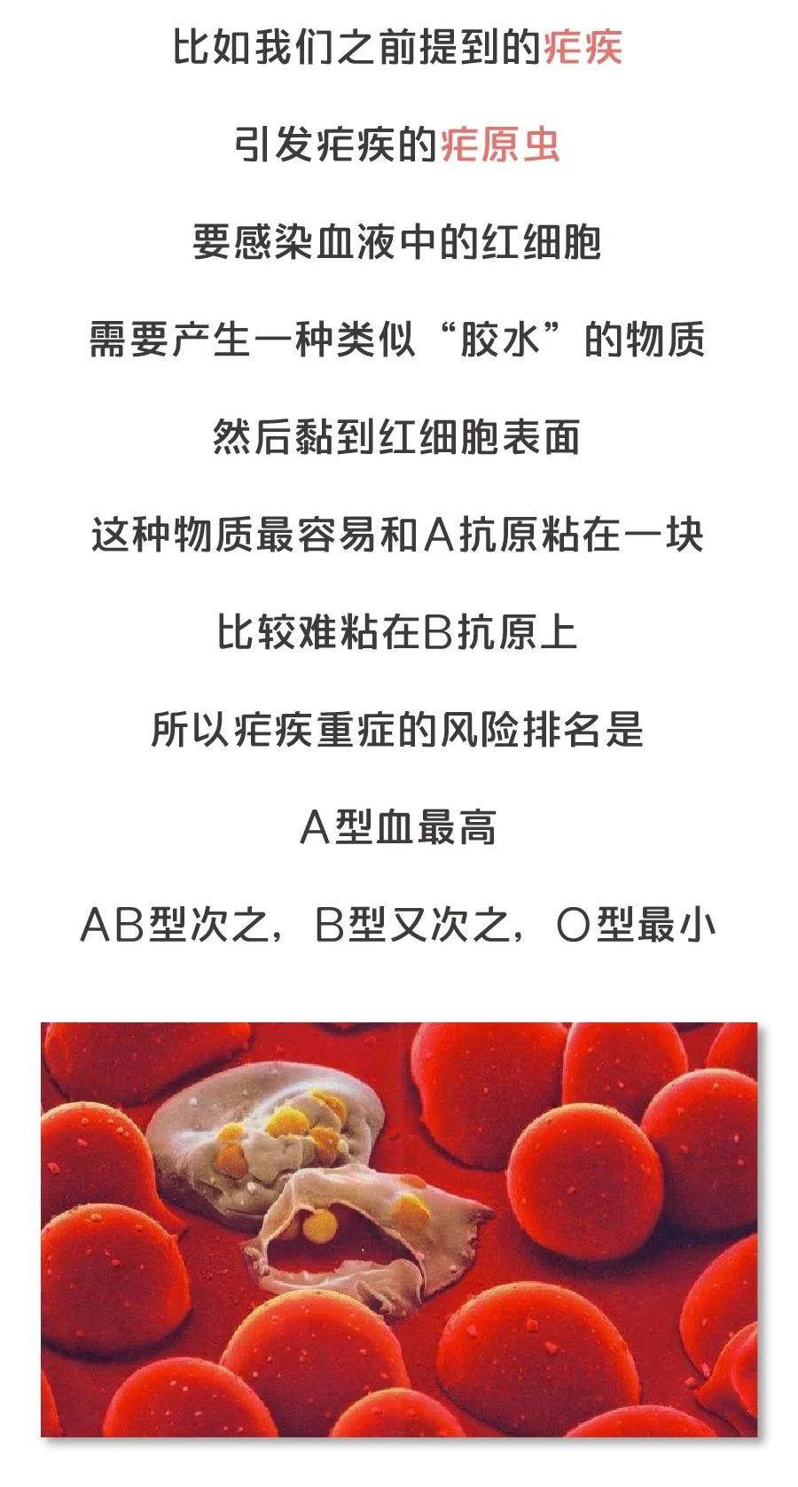 新冠病毒对血型有什么倾向,哪个血型最不容易感染新冠病毒