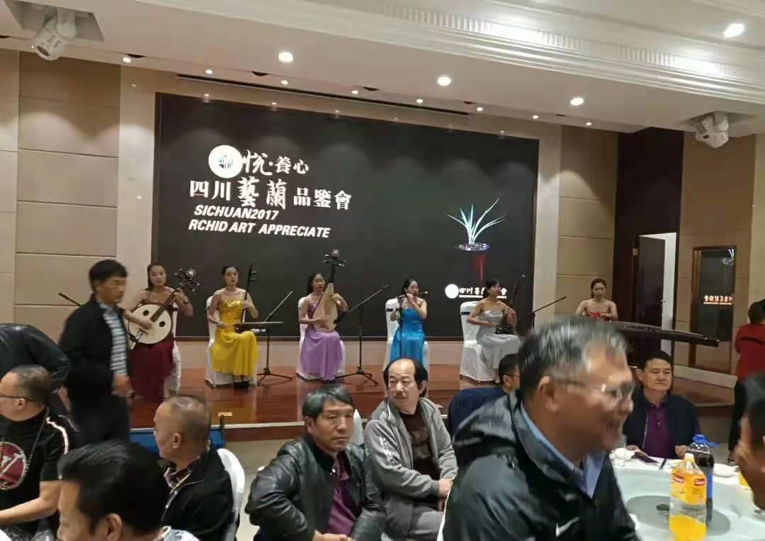 四川艺兰品鉴会上一盆标价高达1680万春剑多艺，曾轰动整个兰界