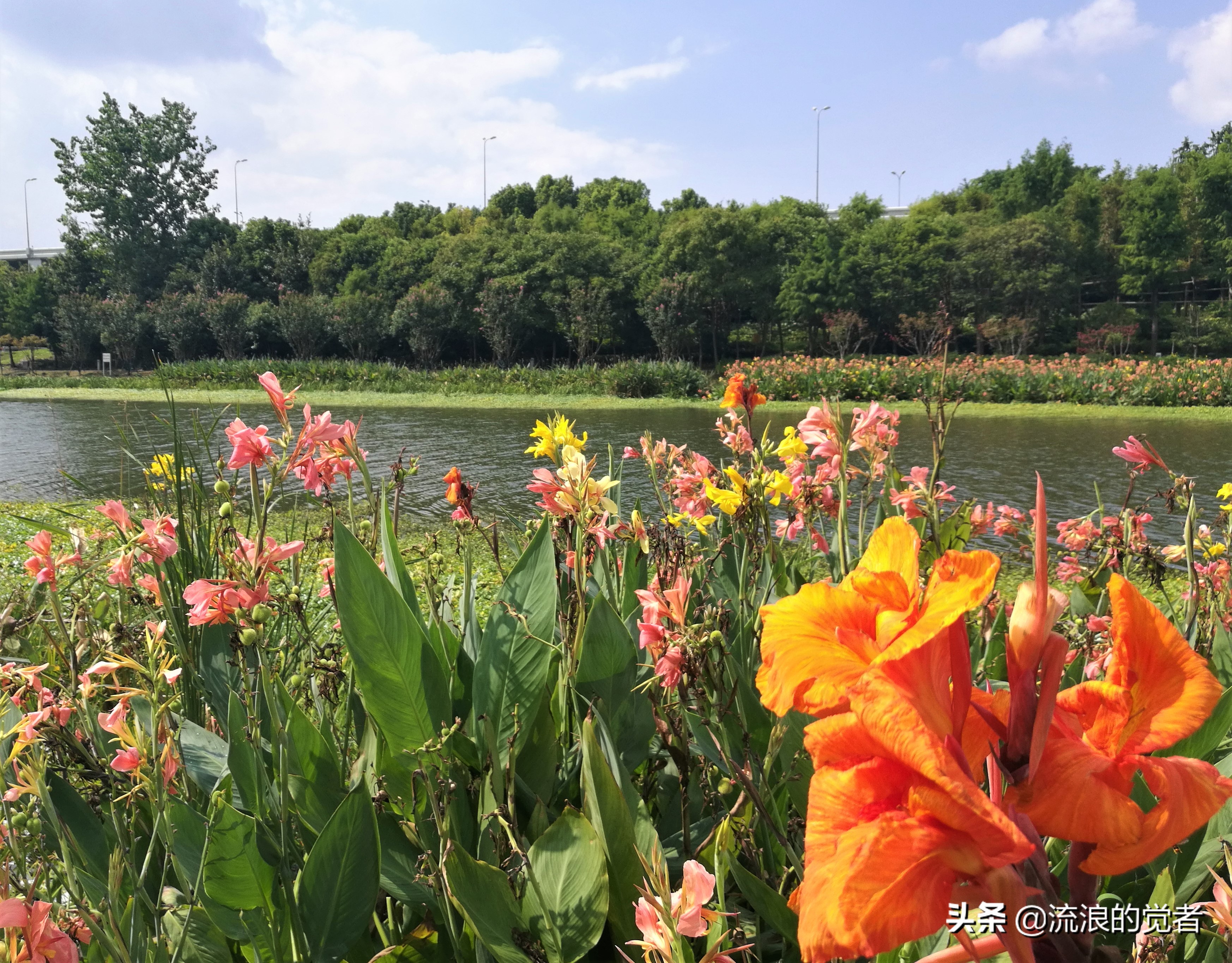 闹中取静的风景,闹中取静怡然自得