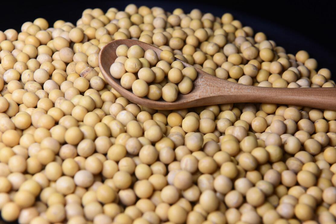 过度补钙对血管硬化有影响吗,中年人过量补钙会怎样