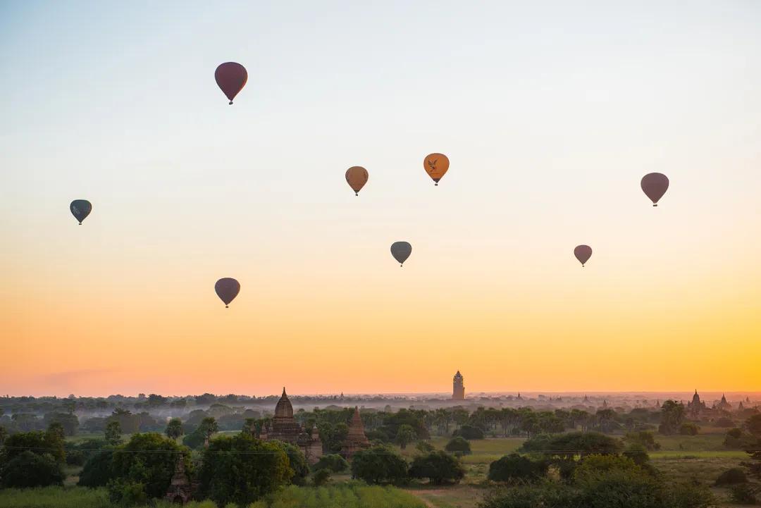 鑺掓灉娌欏啺澶忓ぉ娓呭噳,澶忔棩鑺掓灉娌欏啺
