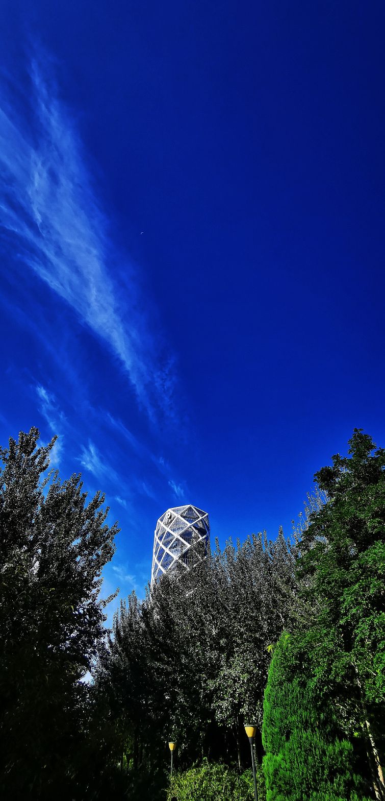 鍖椾含绉樺,鍖椾含绉樺涔嬫梾