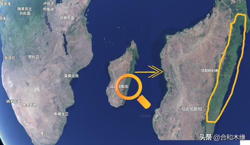 所罗门大叶紫檀和卢氏黑黄檀,黑檀与大叶紫檀哪个更好