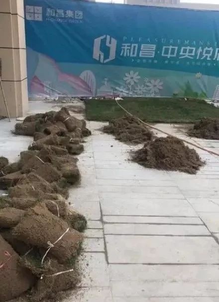 裸眼4D塑胶人工湖、水泥地上种草皮，开发商那些骚断腰的迷惑行为