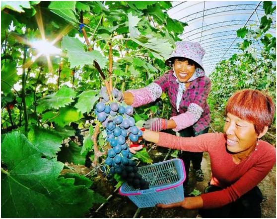 秋天的第一波大“瓜”终于藏不住了