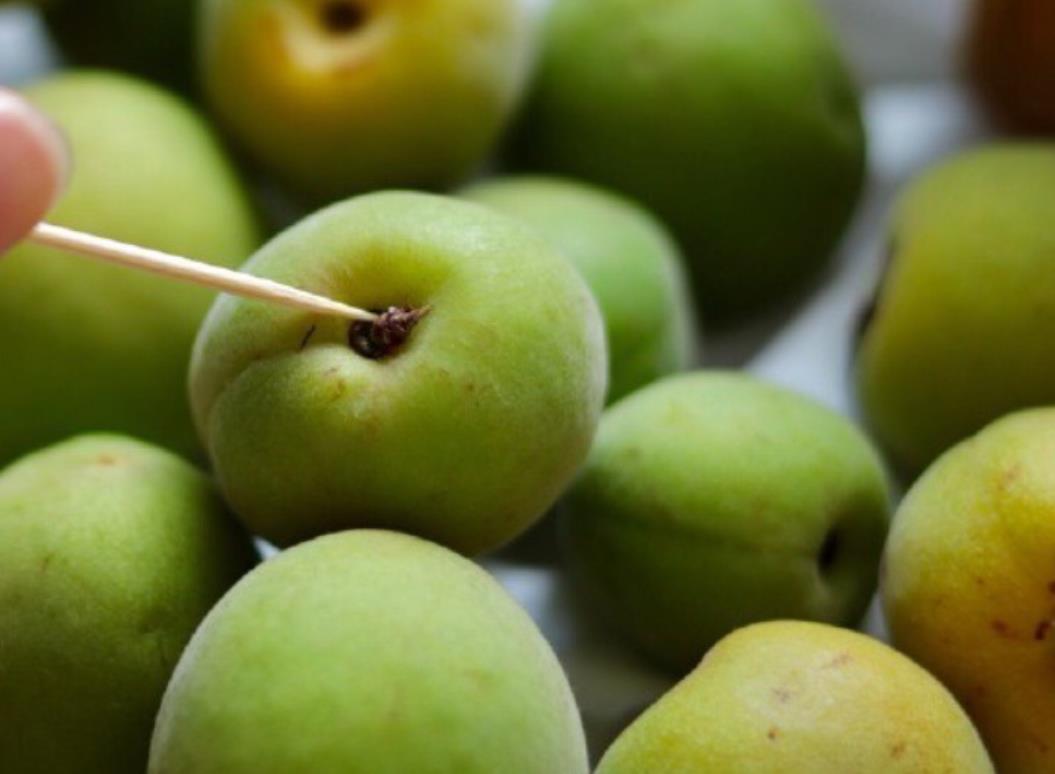 青梅酒的酿法视频教程,酿青梅汁的做法