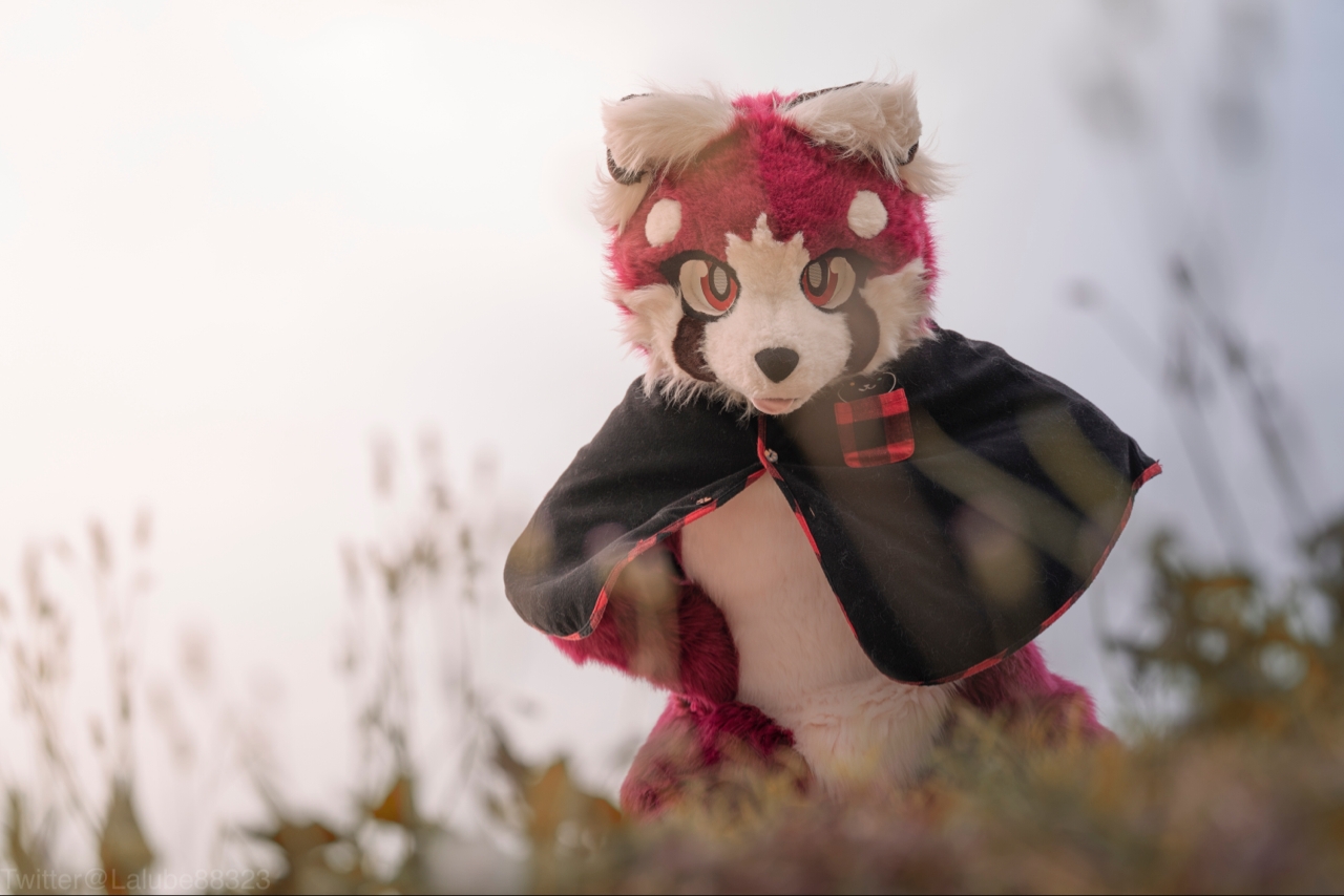 杂图系列（*男猛**系列：兽人furry第一弹）#1