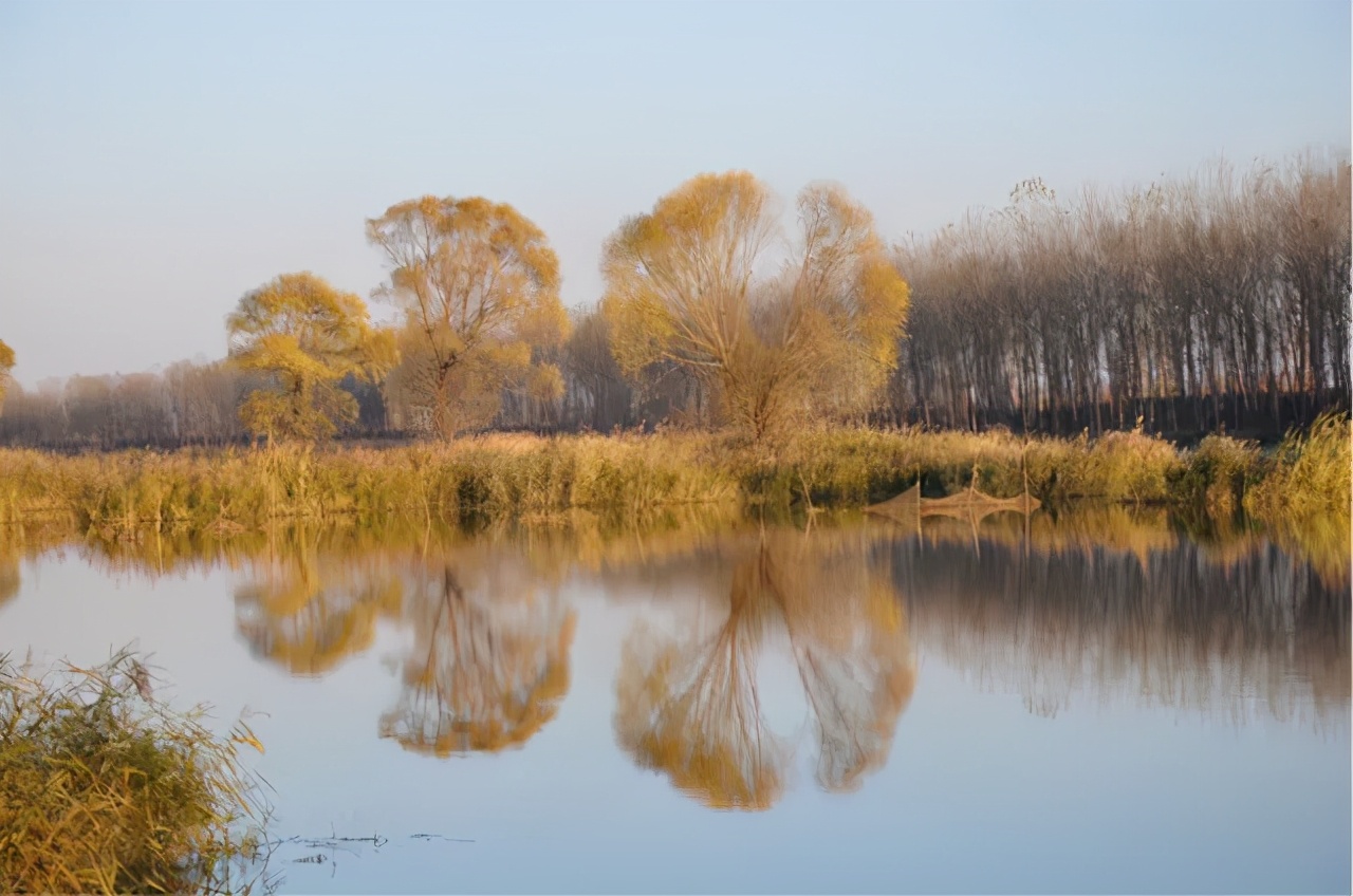 廊坊市赏花踏青第一名,廊坊赏桃花景点