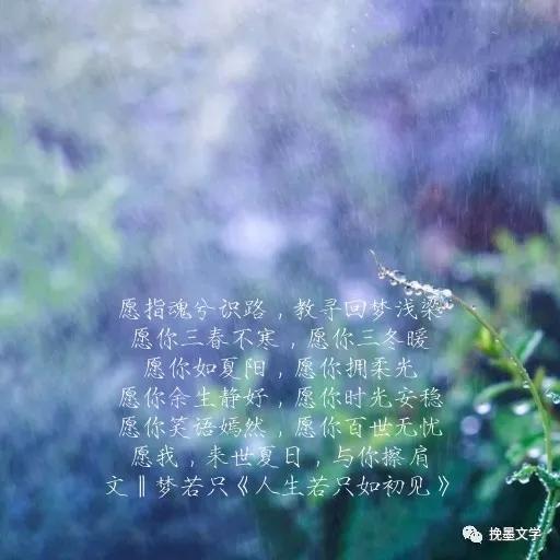 满目山河为故人,满目山河皆故人