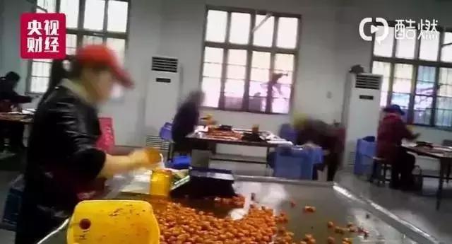 315曝光的黑心商家怎么处理呢,315给无良商家的警告