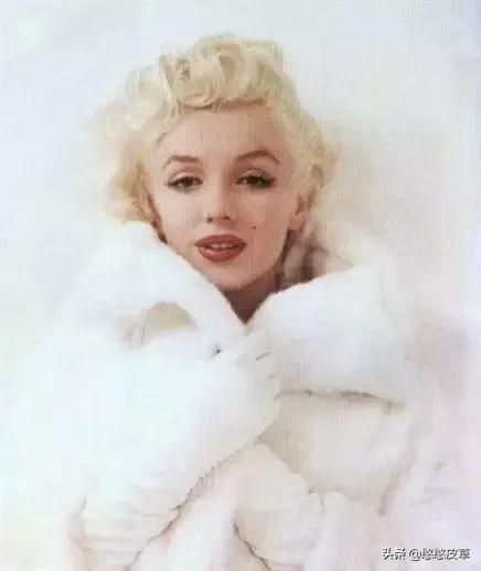 獭兔皮草怎么分辨是真是假,兔毛皮草怎么鉴别真假