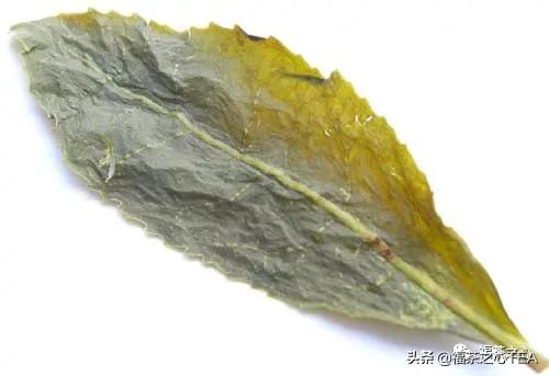 福建最好的茶叶有哪些,福建有哪些茶叶比较好