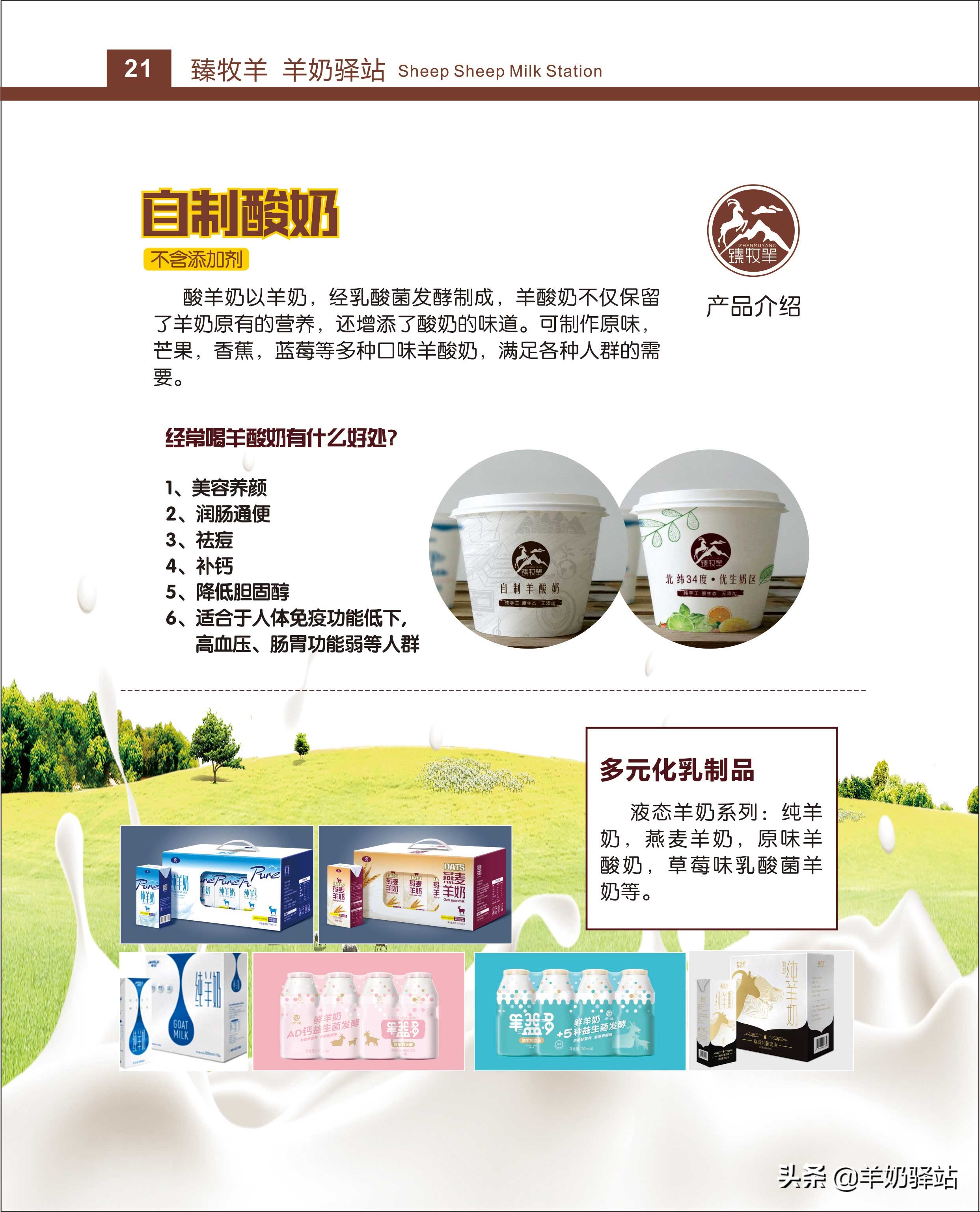 羊奶加盟招商模板,羊奶加盟哪个平台好