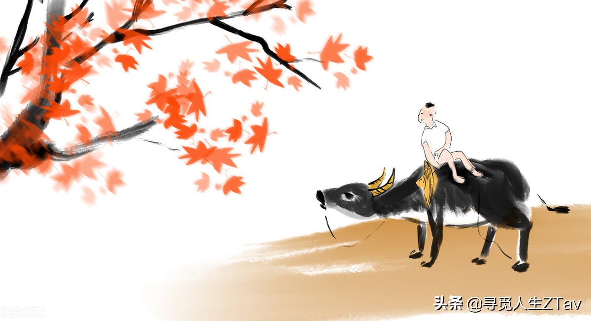 中国文化的整合与认知,中国文化对称之美