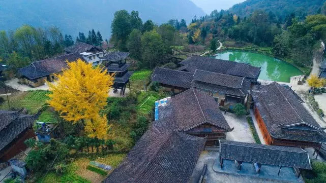 武隆夏季探秘奇特的地缝峡谷,武隆探秘