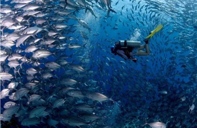 国内度蜜月最合适两个人去的地方,适合情侣度蜜月的旅游胜地