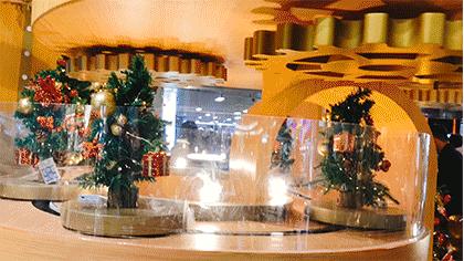 广州圣诞节去哪玩最好,圣诞节广州去哪玩