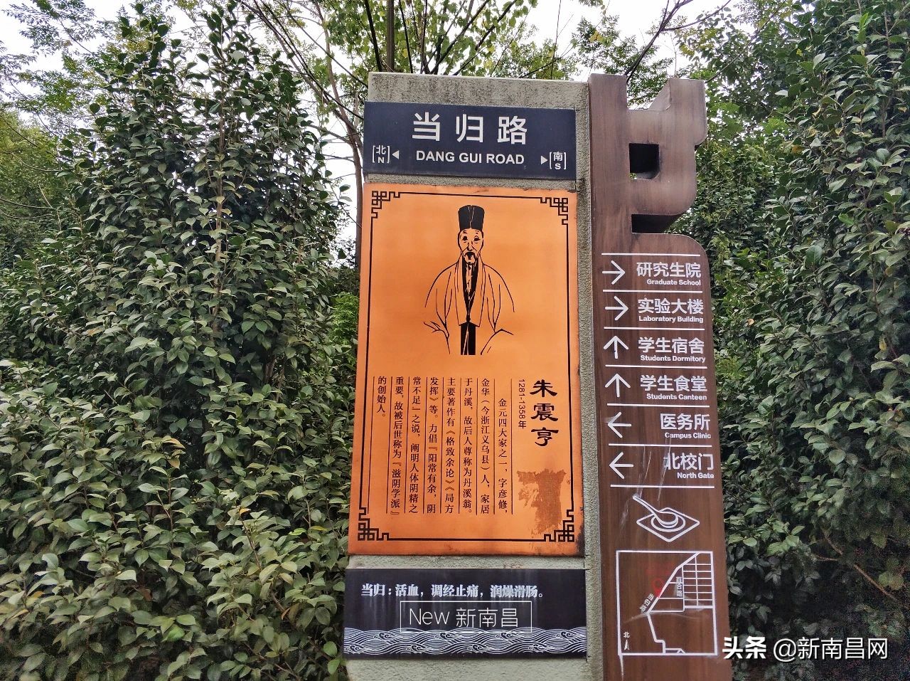 江西中医药大学回忆,现在的江西中医药大学