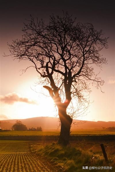 来日方长有多长男生版歌曲完整版,来日方长有多长原唱完整版