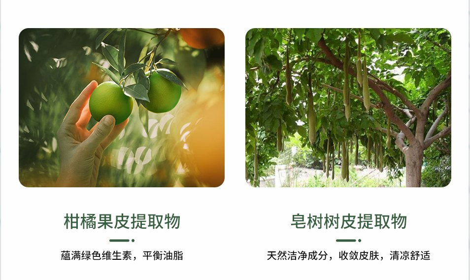 xdg青橘氨基酸洗面奶配方,xdg青橘氨基酸净润洁面乳