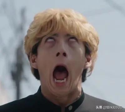 猫粮加营养膏营养够吗,好吃又不贵的猫粮营养膏