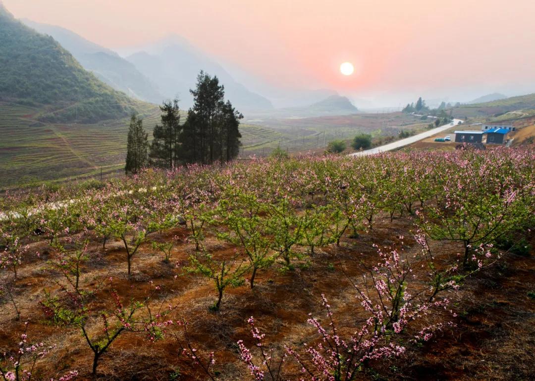 爱马仕为什么上市,爱马仕为什么是第一奢侈品