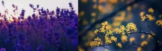 火山泥真是宝，油皮女孩的毛孔疏通剂，让贵妇霜3秒吃透锁水8倍