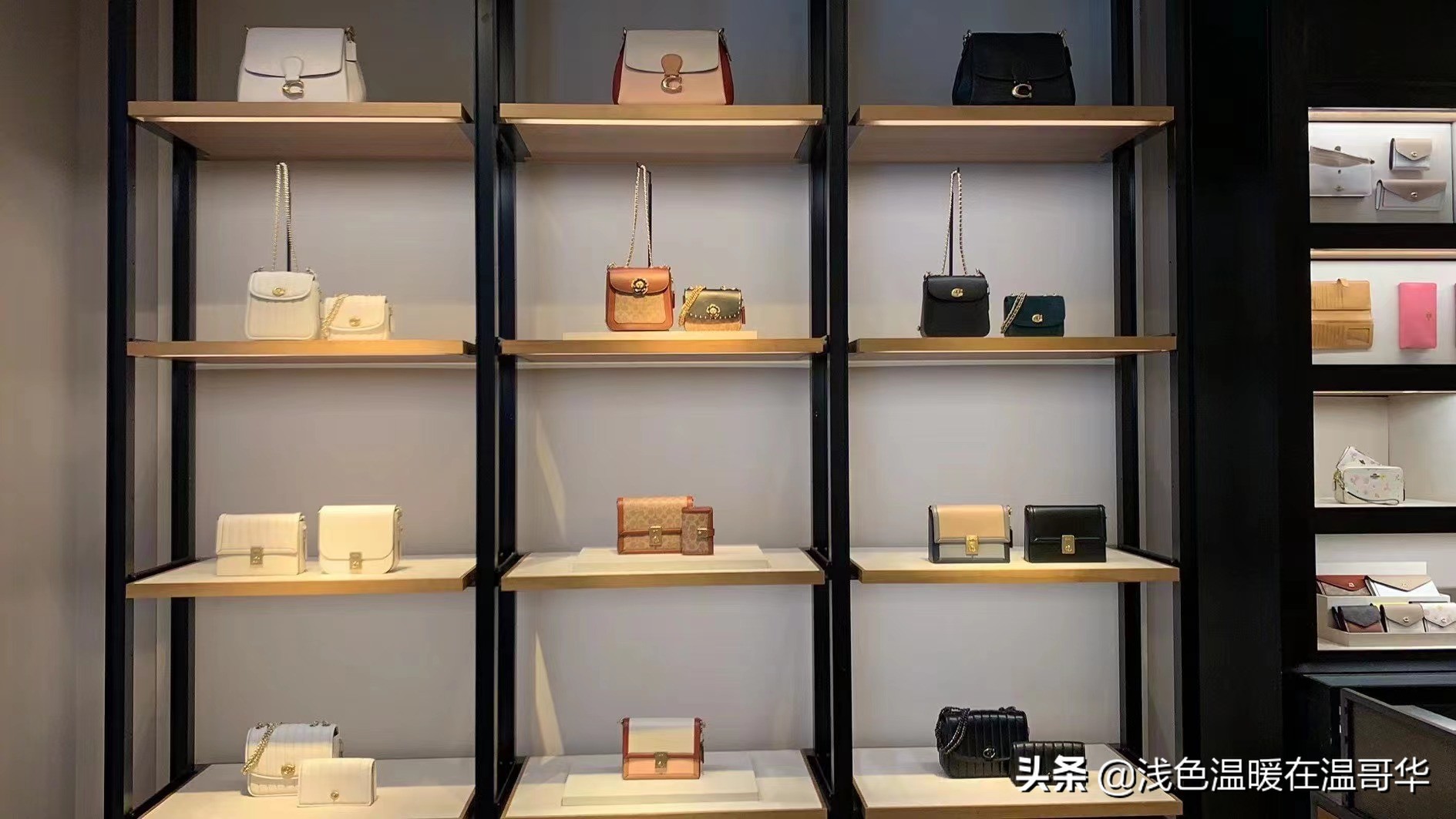 coach包包奥莱款和专柜的区别,coach奥莱款的包可以买么