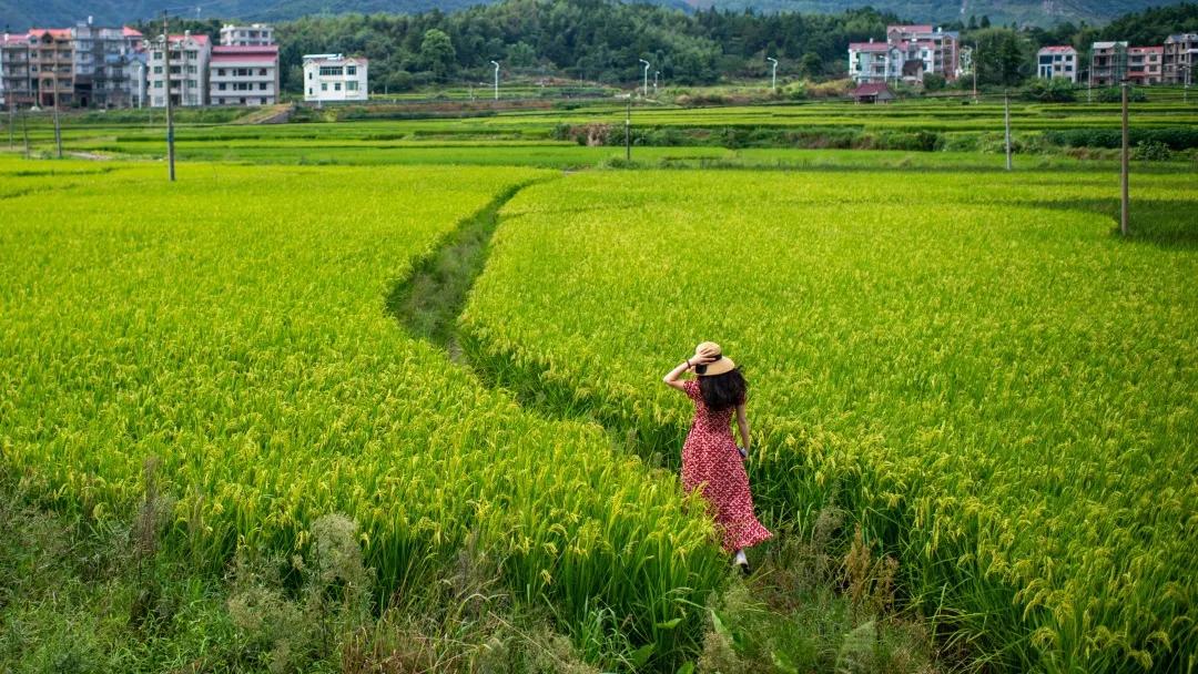 走！姐姐带你去莆田乘风破浪
