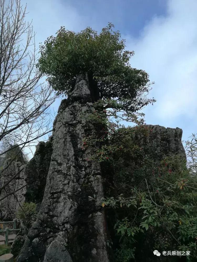 四川四大历史名山华蓥山,华蓥山名山