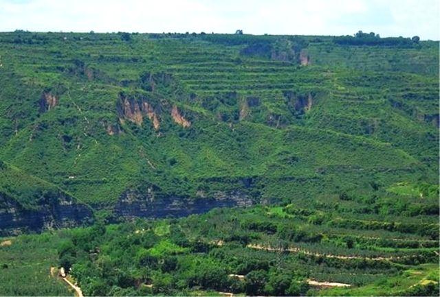 广东在哪里找工作,广东在哪里考国际焊工证