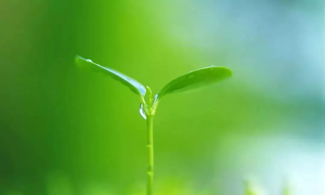 医院、养生、保健是健康长寿的三*法大**宝！带你解读三者的关系