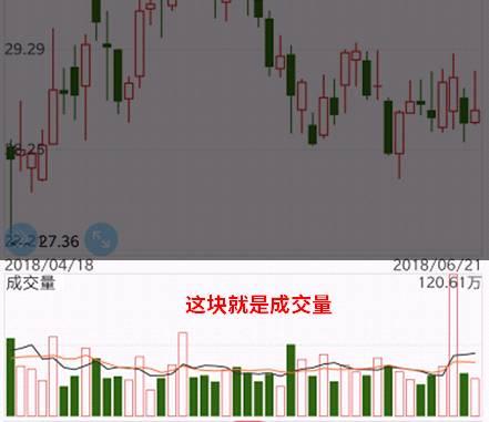 关于股票证券的基础知识,关于股票都有哪些基本知识啊