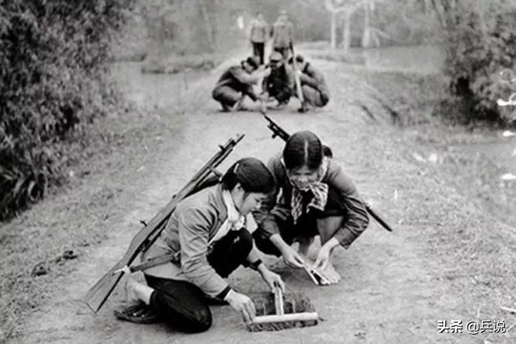 越军遍设竹尖陷阱,外加毒蛇,美军闻风丧胆,不敢收尸