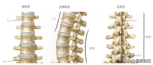 鑵版闂寸洏绐佸嚭鑳芥牴娌讳箞,鑵版闂寸洏绐佸嚭鍘嬭揩绁炵粡