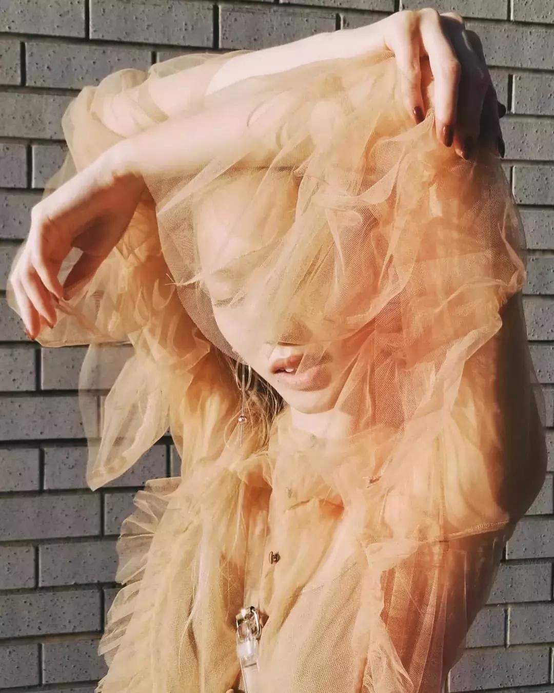 澳大利亚华裔超模FernandaLy公开个人食谱：全天吃燕窝