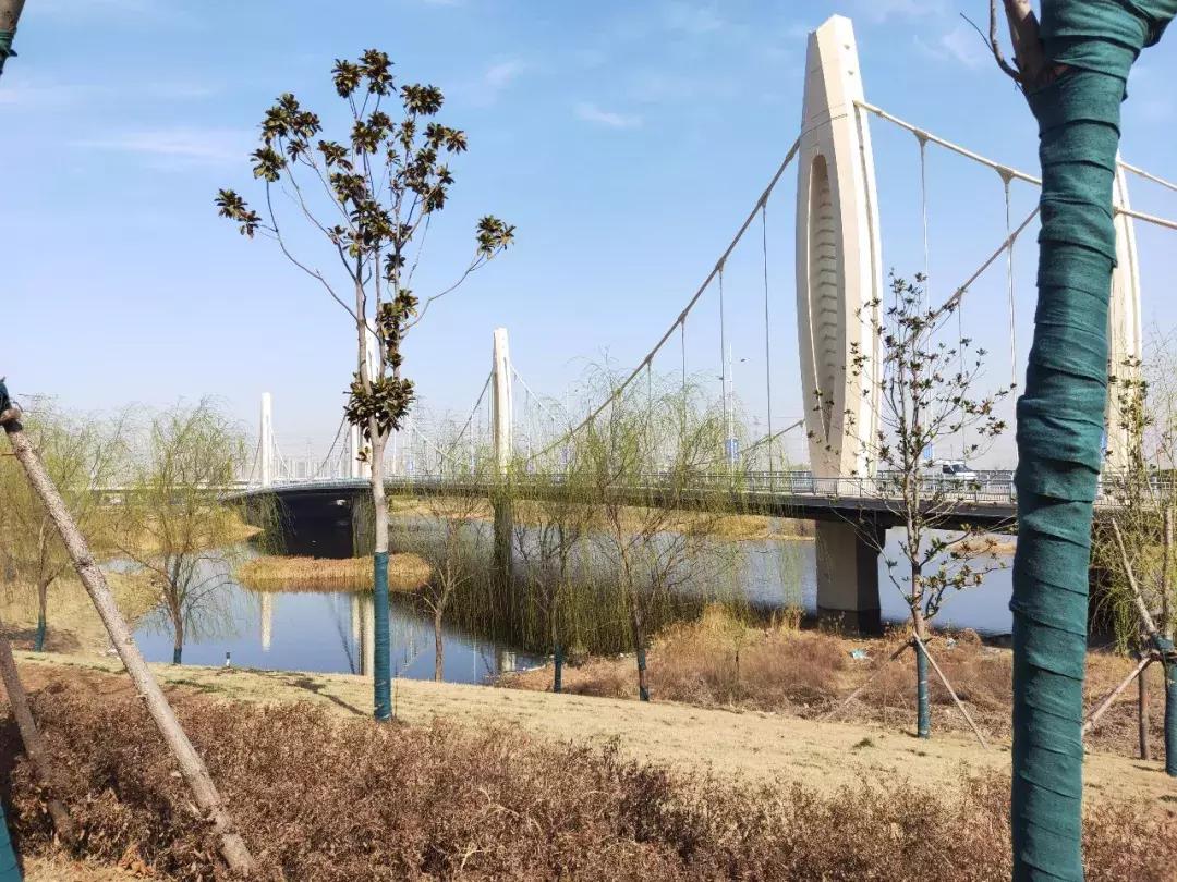 滨河国际新城最全规划图,滨河国际新城最新规划图