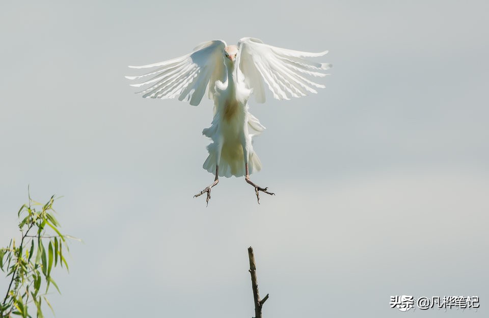 选择曝光快捷键,选择曝光