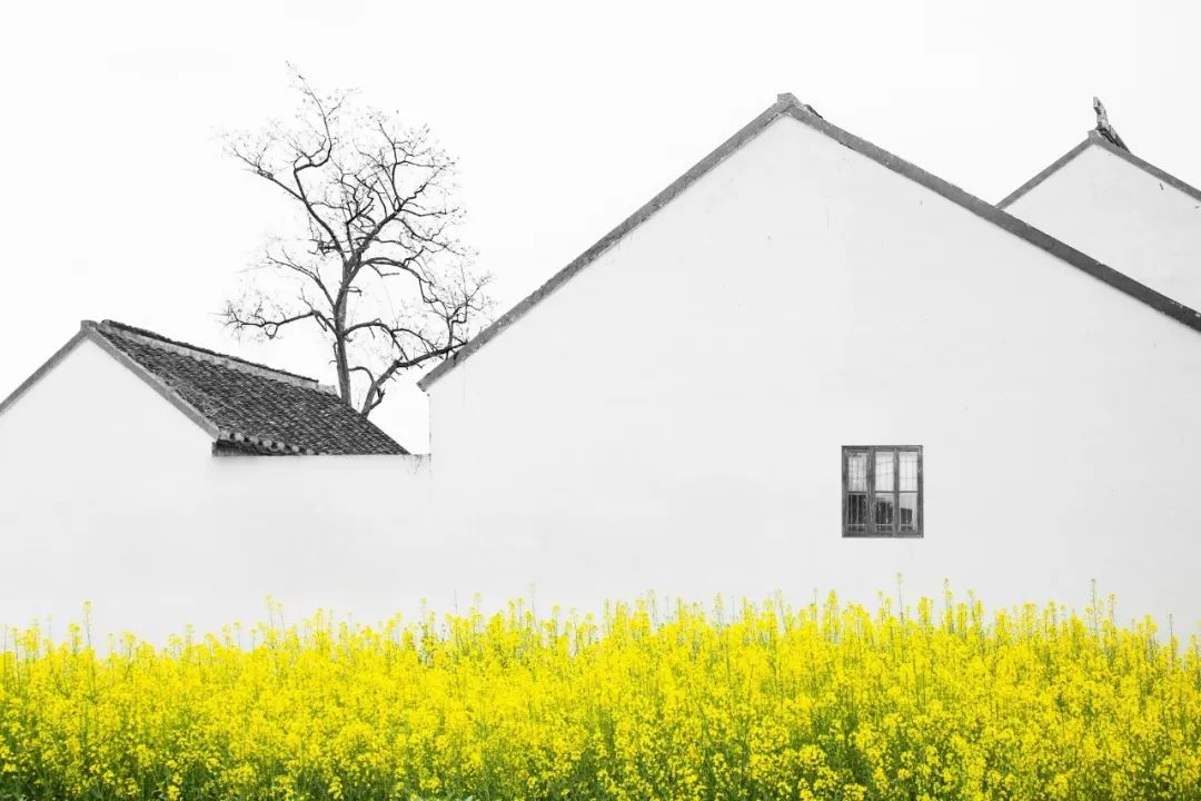 苏州赏花推荐景点有哪些,苏州赏花踏青攻略