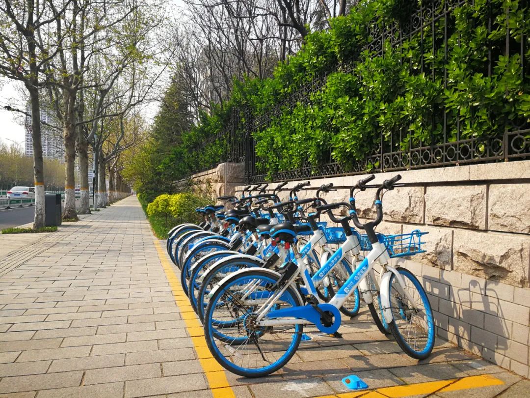 高新区执法局：哈啰单车全域管理系统即日启用